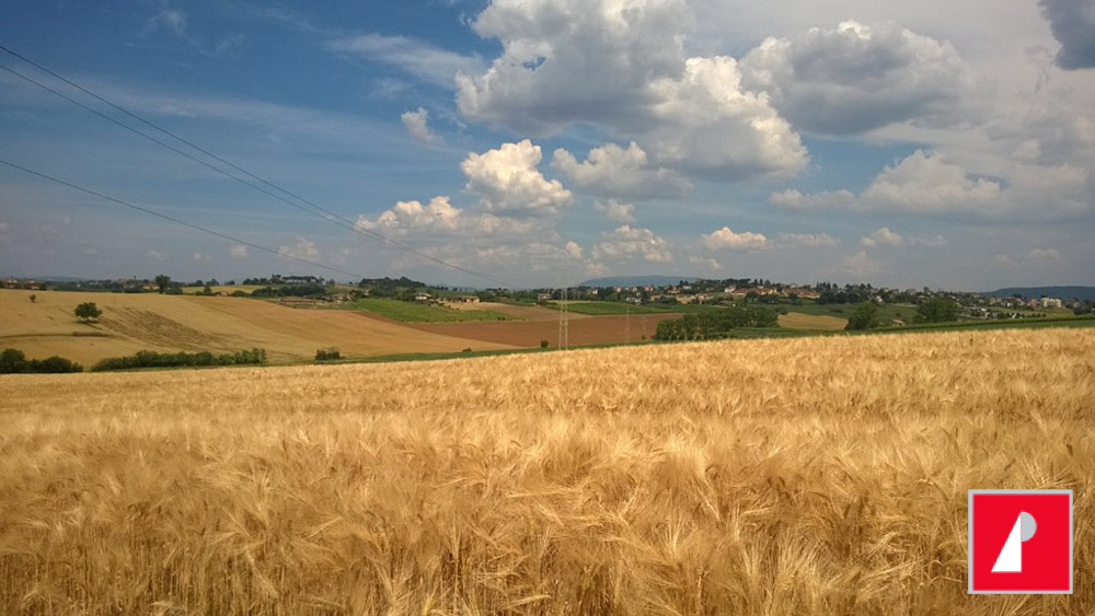 senza-titolo-042